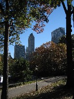 Indian Summer in Central Park - The Day after the Marathon