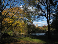 Indian Summer in Central Park