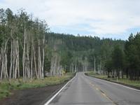 Coconino and Kaibab National Forests