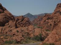 The road through the Valley of Fire
