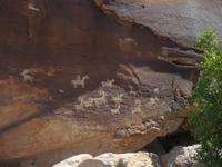 Petroglyphs at the Delcate Arch Trailhead